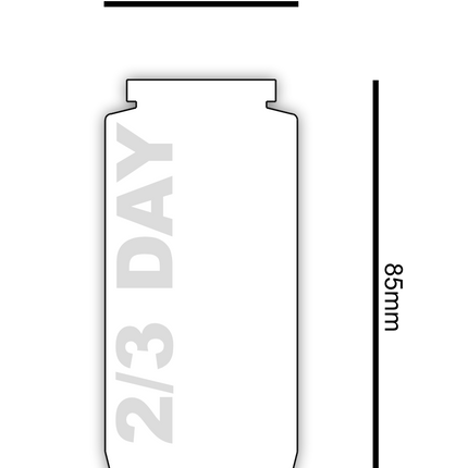 Sanctuary Lights - 2/3 Day