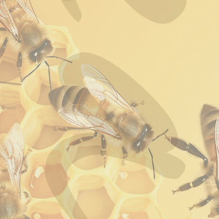 'Peace Bee With You' Bookmark