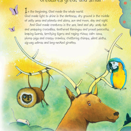 Bibles Birds And Beasties