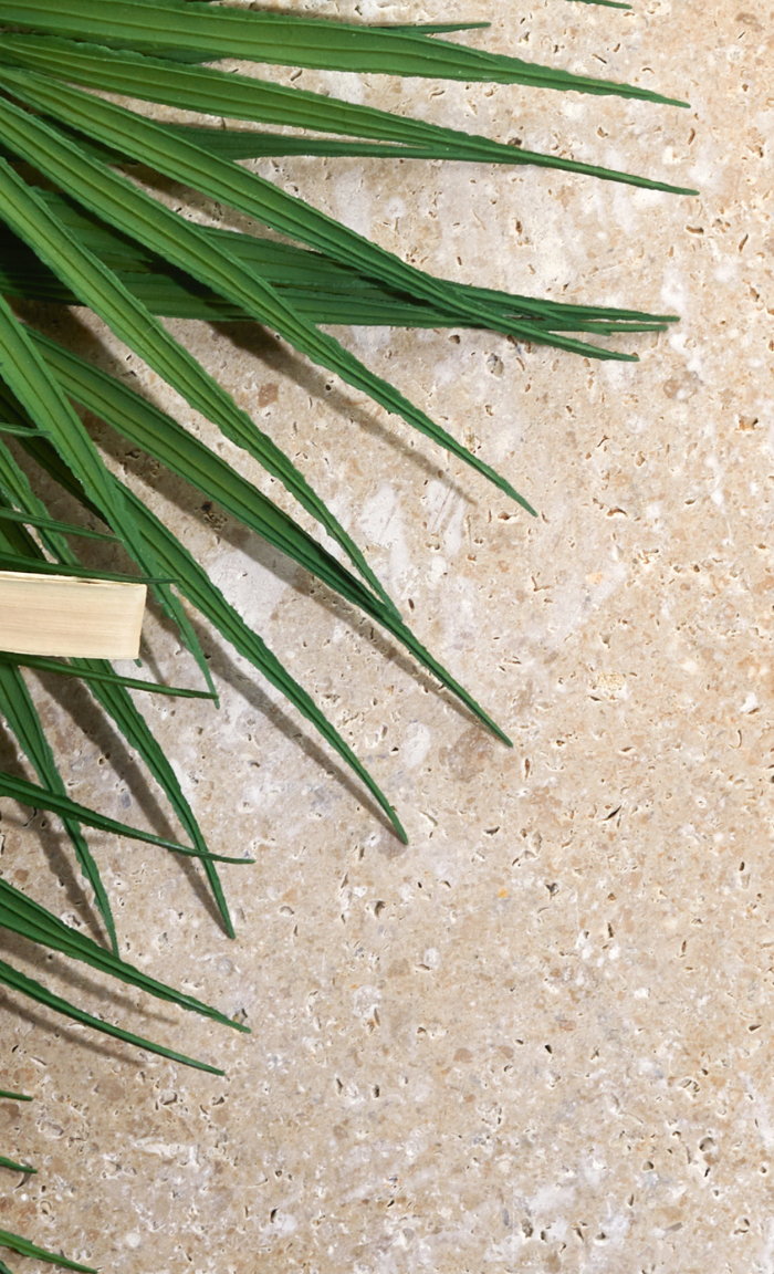 <h2>PALM SUNDAY- 29TH MARCH 2026</h2>