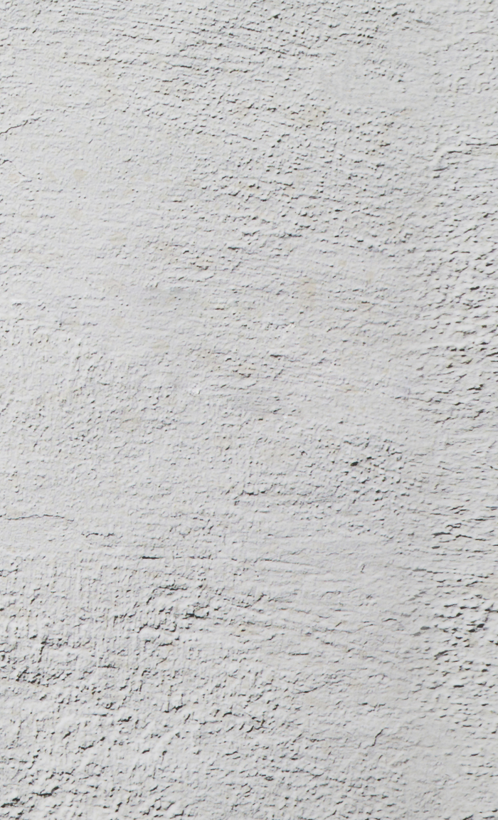 <h1>LENT & </h1><h1>EASTER ESSENTIALS</h1><h1></h1>