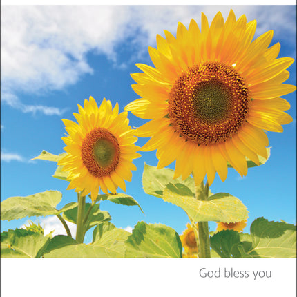 Get Well SoonGet Well Soon