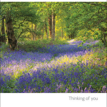 With SympathyWith Sympathy