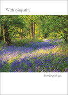 With SympathyWith Sympathy