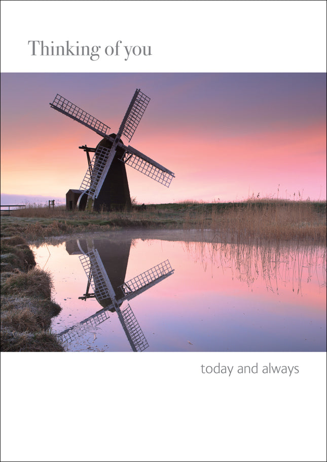 Thinking Of YouThinking Of You