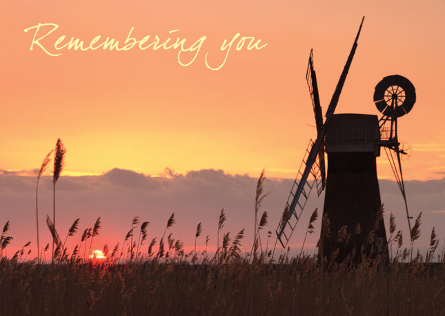 Remembering YouRemembering You