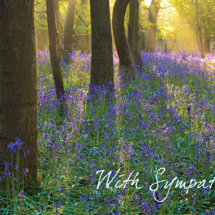 With SympathyWith Sympathy