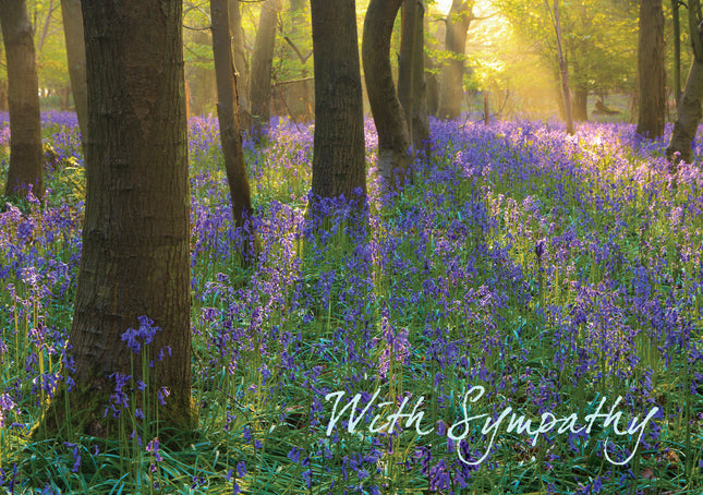 With SympathyWith Sympathy