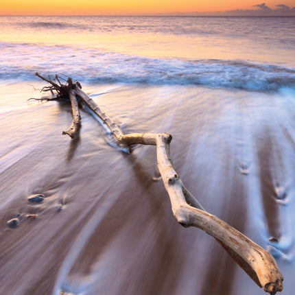 On Your Baptism - GlossOn Your Baptism - Gloss