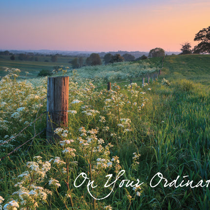 OrdinationOrdination