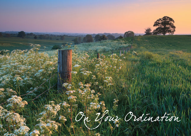 OrdinationOrdination