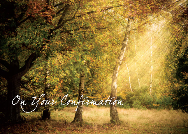 ConfirmationConfirmation