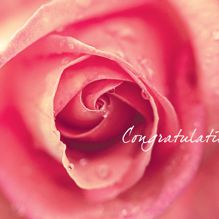 Congratulations - Standard CardCongratulations - Standard Card