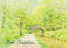 New Christian - Standard CardNew Christian - Standard Card