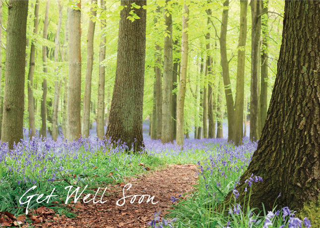 Get Well Soon -  Standard CardGet Well Soon -  Standard Card