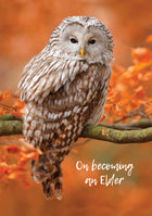 On Becoming An Elder - Standard Card Gloss (6 Pack)On Becoming An Elder - Standard Card Gloss (6 Pack)