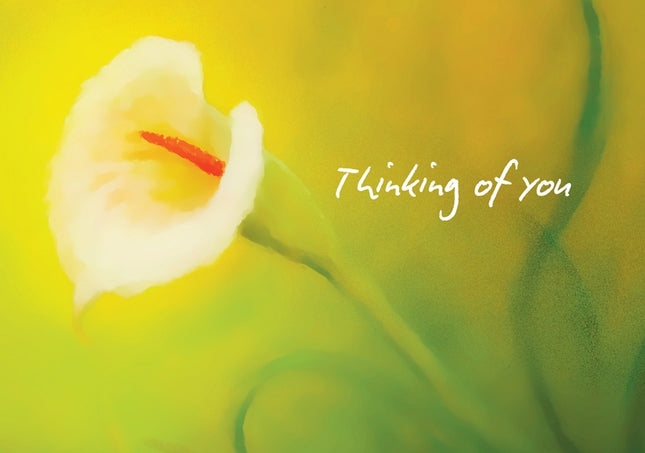 Thinking Of You - Std Card  Gloss (6 Pack)Thinking Of You - Std Card  Gloss (6 Pack)