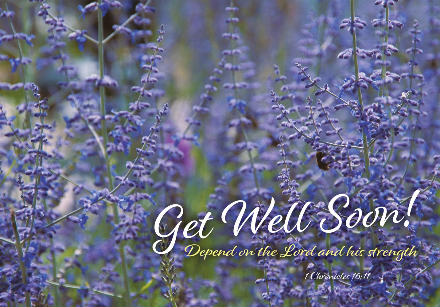 Get Well Soon - Lavender Std Card Gloss (6 Pack)Get Well Soon - Lavender Std Card Gloss (6 Pack)