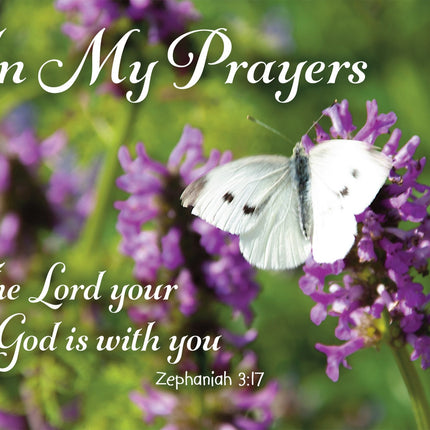 In My Prayers - Butterfly  Std Card Gloss (6 Pack)In My Prayers - Butterfly  Std Card Gloss (6 Pack)