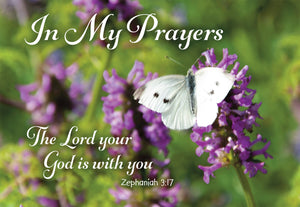 In My Prayers - Butterfly  Std Card Gloss (6 Pack)In My Prayers - Butterfly  Std Card Gloss (6 Pack)