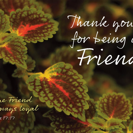 Thank You - Leaves  Std Card Gloss (6 Pack)Thank You - Leaves  Std Card Gloss (6 Pack)