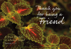 Thank You - Leaves  Std Card Gloss (6 Pack)Thank You - Leaves  Std Card Gloss (6 Pack)