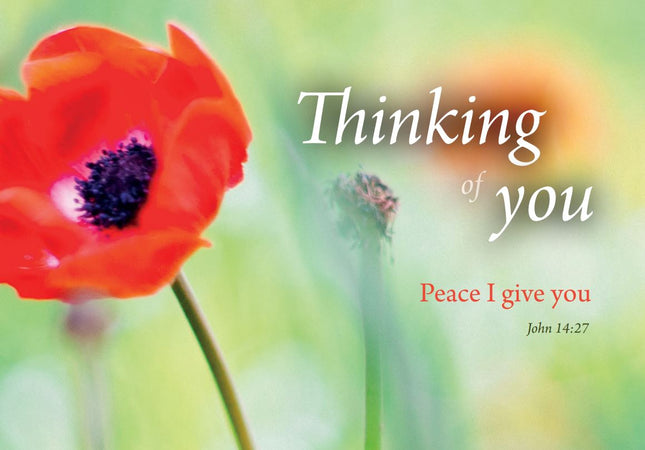 Thinking Of You - Floral 6pk