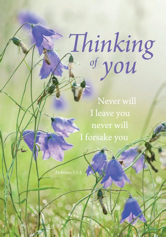 Thinking Of You - Floral 2 - 6pk