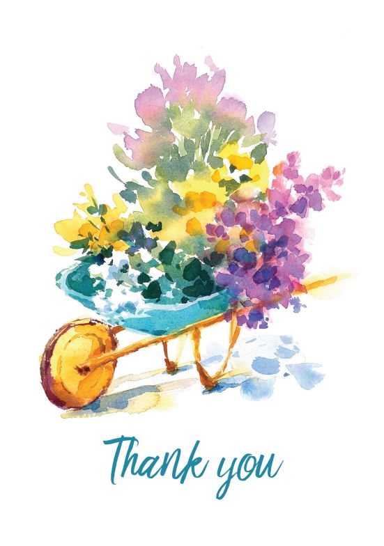 Thank You - Watercolour - Textured 6pk