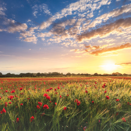 Thank You - Square Card GlossThank You - Square Card Gloss