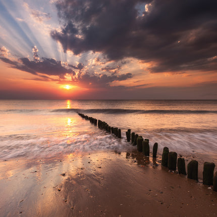 Thinking Of YouThinking Of You