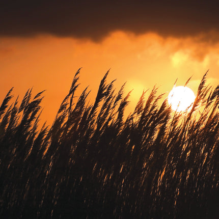 Sorry You'Re LeavingSorry You'Re Leaving