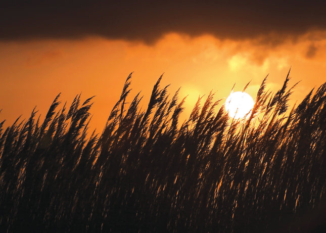 Sorry You'Re LeavingSorry You'Re Leaving