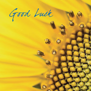 Good Luck SunflowersGood Luck Sunflowers