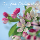 Confirmation (Blossom)Confirmation (Blossom)