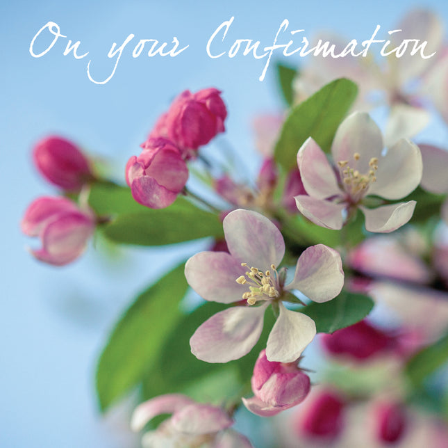 Confirmation (Blossom)Confirmation (Blossom)