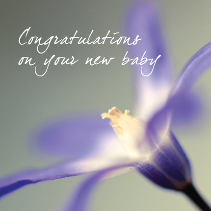 New Baby - Purple FlowersNew Baby - Purple Flowers