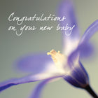 New Baby - Purple FlowersNew Baby - Purple Flowers