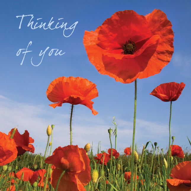 Thinking Of You (Poppy)Thinking Of You (Poppy)