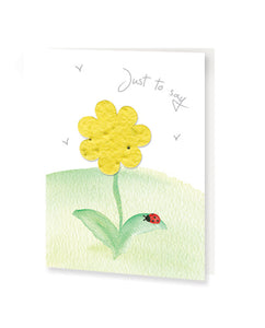 Just To Say -  Plant It CardsJust To Say -  Plant It Cards
