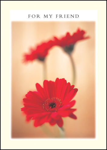 For My Friend ****For My Friend ****