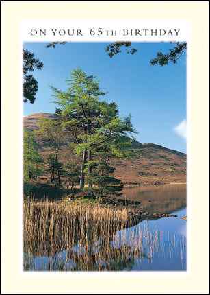 65Th Birthday ****65Th Birthday ****