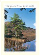 65Th Birthday ****65Th Birthday ****