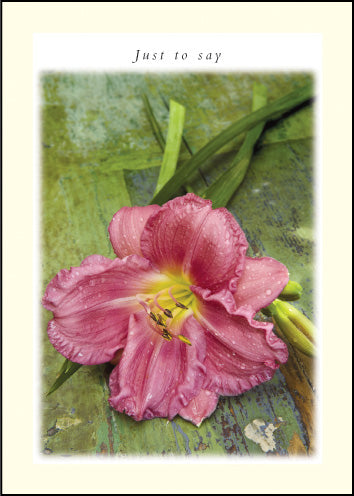 Just To Say ****Just To Say ****