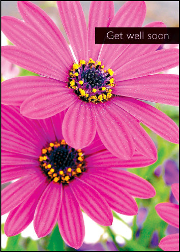 Get Well SoonGet Well Soon