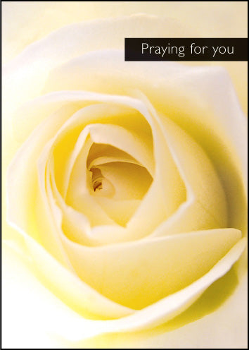 Praying For YouPraying For You