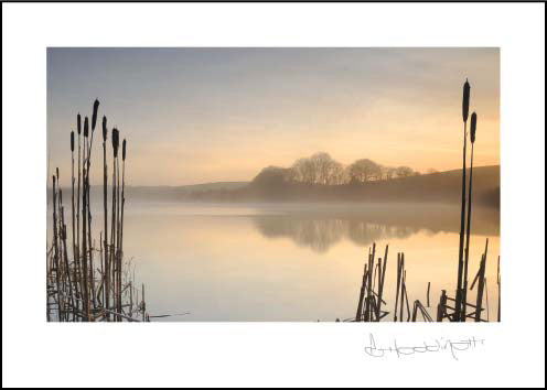 Tamar Lake ****Tamar Lake ****
