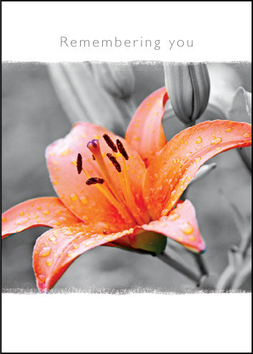 Remembering You ****Remembering You ****