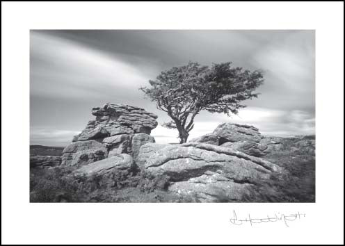 Saddletor ****Saddletor ****