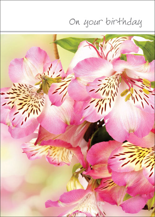 On Your Birthday (F)On Your Birthday (F)